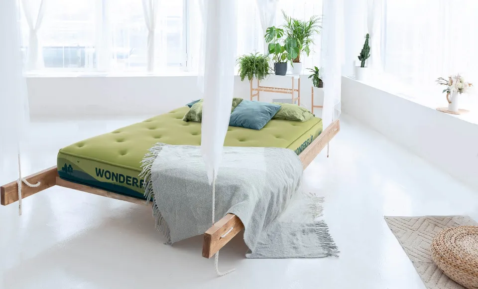 Canopy daybed with a green Wonderflip mattress, in a bright room with plants